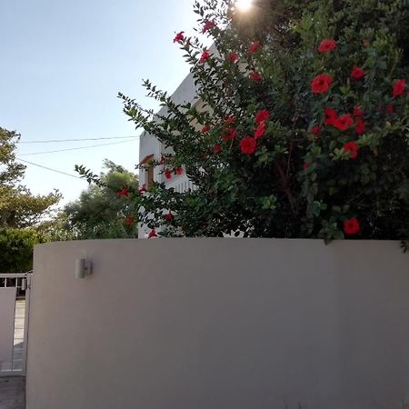Dimitris' & Valentina'S Home 플라키아스 외부 사진